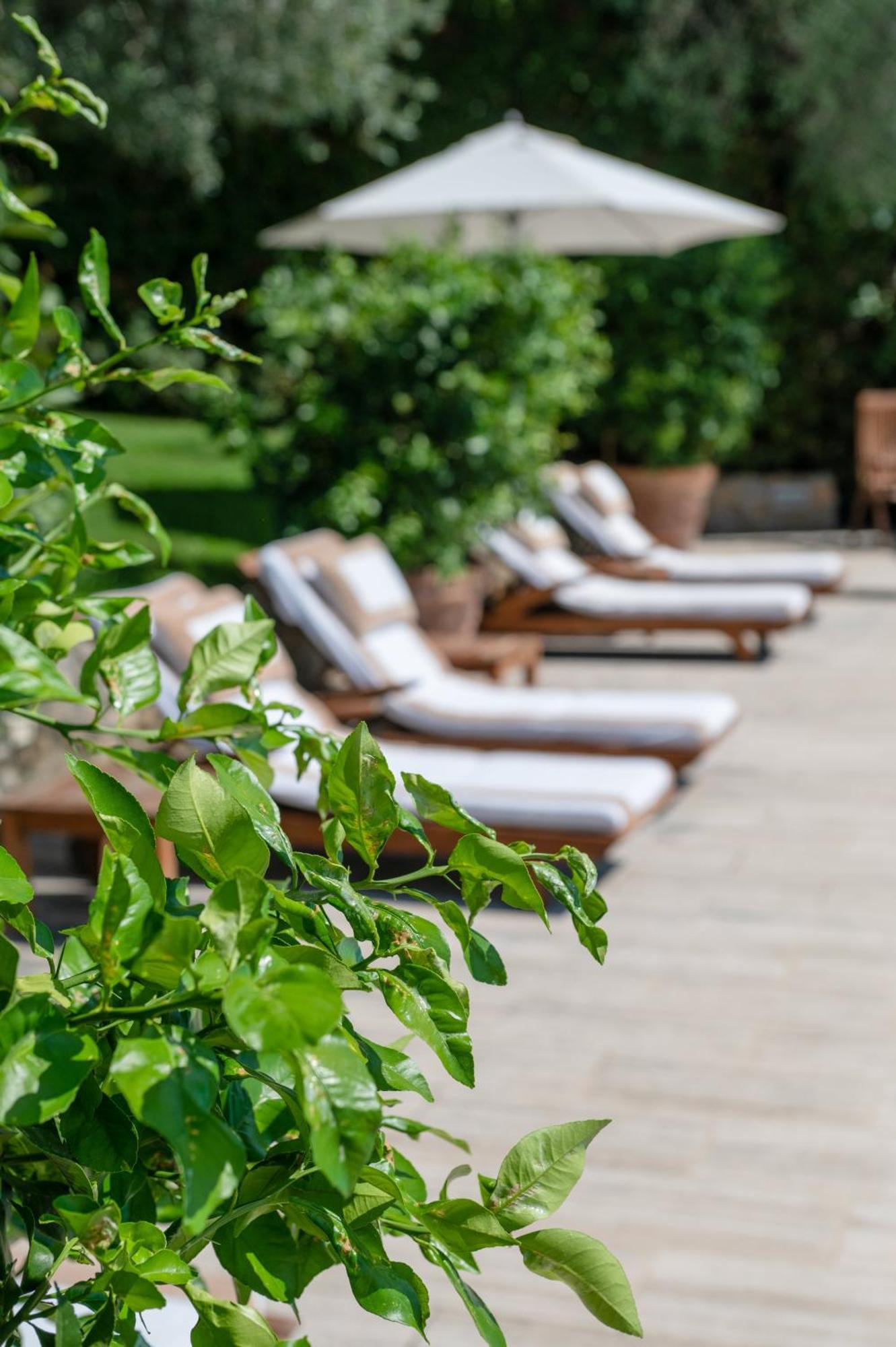 Villa Eden Forte Dei Marmi With Private Infinity Pool Santa Lucía Exterior foto