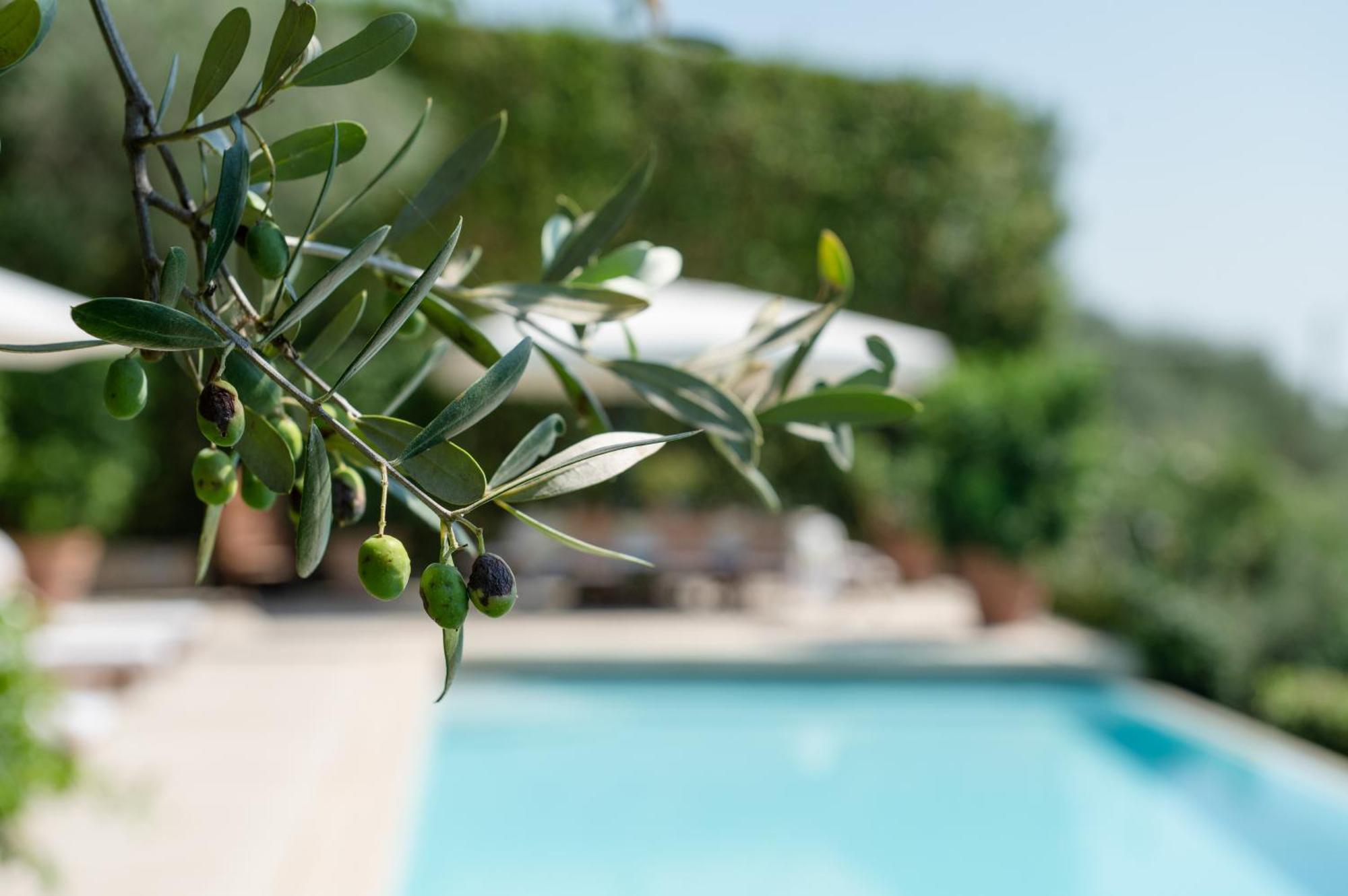Villa Eden Forte Dei Marmi With Private Infinity Pool Santa Lucía Exterior foto